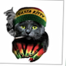 Logo of RastaKitty