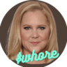 Logo of AMY SCHUMER