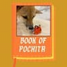 Logo of Book of Pochita