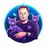 Logo of Elon Musk's Cat