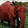 Logo of Strawberry Elephant