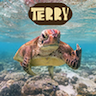 Logo of Terry The Disgruntled Turtle