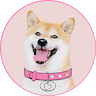 Logo of DogeGF